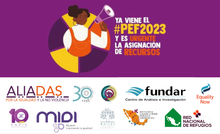 Organizaciones exigen al legislativo mexicano que incremente y supervise recursos contra violencias de género en el presupuesto de 2023